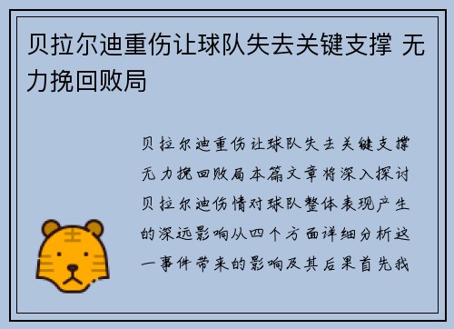贝拉尔迪重伤让球队失去关键支撑 无力挽回败局